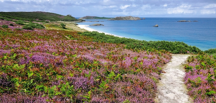 Pathway to the Great Bay on the Island of St Martin's, Isles of Scilly
